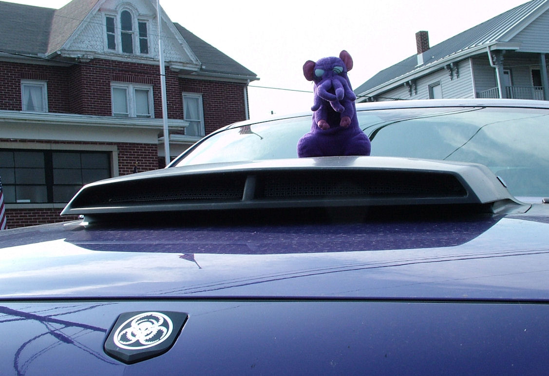 Tentacle Rat arrives at the Con...